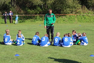 Jiuyou-替补席能否发挥稳定战术执行能力影响赛季后期，替补席是什么意思